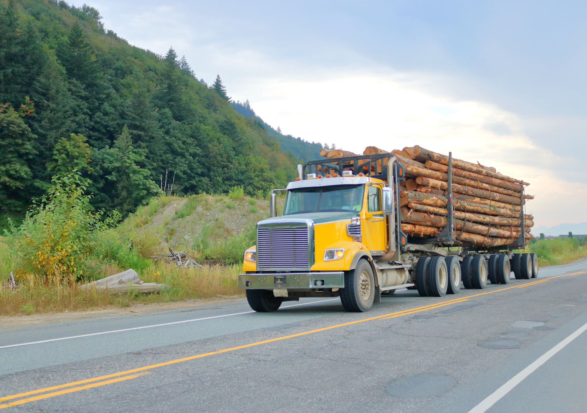 Logging Truck Accident Lawyer Roseville, MN