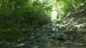 Dunning’s Spring Park Decorah IA